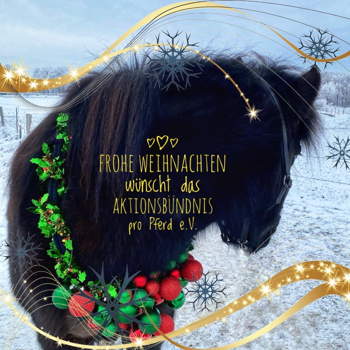 Weihnachten_2023.jpeg